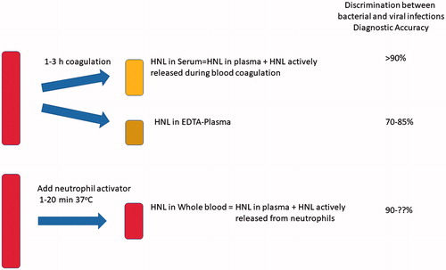 Figure 3. Results of measuring HNL in serum, plasma, or after whole-blood activation. The diagnostic accuracy as defined by specificity + sensitivity/2 is given for the different measurements.