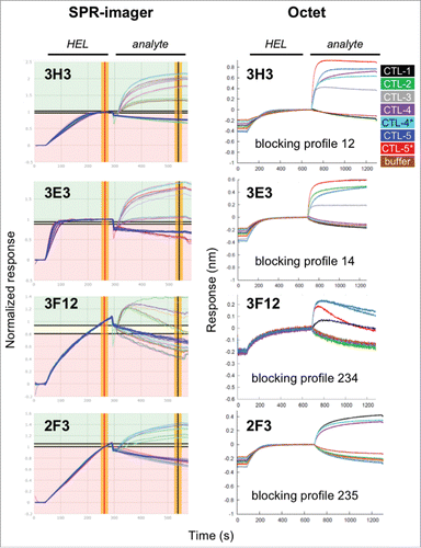 Figure 6. Merged binning analysis of a set of 243 library antibodies and 7 controls. Technology comparison of SPR imaging data (left) and Octet data (right), validating examples of rare blocking profiles. Data are grouped by the coupled antibody (named in the plot title) and the curves are either auto-colored (SPR imaging data) or colored by the antibody analyte (Octet, as indicated). The buffer analyte curves (providing the threshold for a “blocked” response) are colored blue (SPR imaging) or brown (Octet).