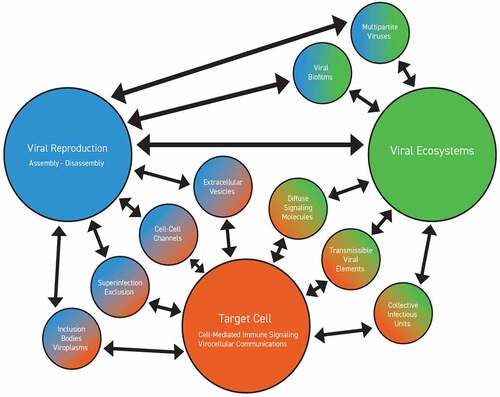 Figure 2. Sociovirology, viral ecosystems, and virocellular communications.Viruses exhibit extensive social attributes, enabling coordinate virus-virus and virocellular communications through multiple signaling pathways. Collectively, these enable the lytic-lysogenic decision matrices of viruses, enacted through the social principles of collective action, co-dependence, and competition that underpin viral ecosystems.