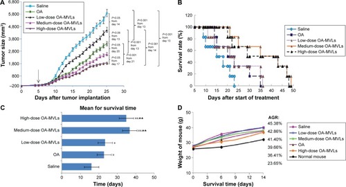 Figure 9 Effects of various therapies on suppression of preexisting subcutaneous tumors and elongation of survival rate.Notes: Tumor-bearing mice of each group (n=5) were treated on every other day from day 5, and tumor size was monitored every day, while the death date of each mouse was recorded. (A) Mean tumor size (mm3), the arrow is pointing to the first injection time at the fifth day. (B) Survival curve of tumor-bearing mice. (C) Mean of survival time in each group: 1) *P<0.05 and **P<0.01, saline group – versus the other treated groups; 2) ♣♣P<0.01, OA or low-dose OA-MVLs group vs medium-dose OA-MVLs group, and OA or low-dose OA-MVLs group vs high-dose OA-MVLs group. (D) Weight of mouse in different groups. AGR of body weight was calculated according to the formula: (Weightday 14 − Weightday 0) ×100/Weightday 0. Similar results were obtained in three independent experiments. Each data point is represented as mean ± SD (n=5).Abbreviations: OA, oleanolic acid; OA-MVLs, oleanolic acid-encapsulated multivesicular liposomes; AGR, average growth rate; SD, standard deviation.