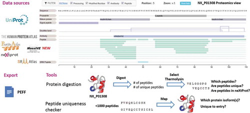 Figure 1. neXtProt curates and integrates data from various sources, displays it on the proteomics view, exports it in different formats including the HUPO-PSI PEFF format, and offers tools to prepare and interpret proteomics experiments.