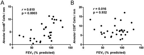 Figure 3. The relationship between the number of alveolar granzyme B+ cells and FEV1% predicted (A) and that between CD8+ cells and FEV1% predicted (B) in subjects with centrilobular emphysema [Citation69].