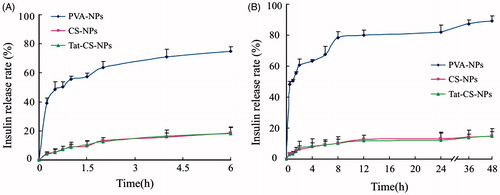 Figure 6. In vitro cumulative insulin release profiles of PVA-NPs, CS-NPs and Tat-CS-NPs in simulated gastric fluid (pH 1.2 hydrochloric acid solution) (A) and in simulated intestinal fluid (pH 7.4 PBS) (B), n = 3.