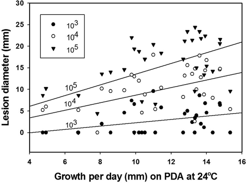 Fig. 6. Regression analysis of isolate growth on PDA against lesion diameter on nectarines inoculated with three concentrations (103, 104 and 105 conidial mL−1) of Monilinia fructicola conidia and incubated at 24 °C for 2 days.