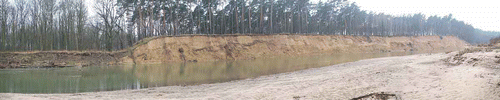 Fig. 2 Eroding bank of the River Morava in the downstream part of the meander loop in the Osypané břehy locality. Bank erosion has exposed sediments of the sand dunes of the “Moravian Sahara”. The bank to the left of the aeolian sands was created by loamy alluvial deposits (photo by L. Krejčí, January 2008).