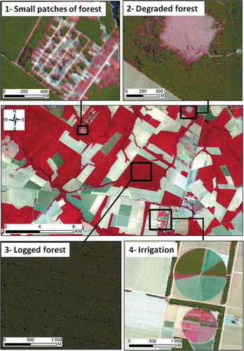 Figure 1. False color composite of a Sentinel-2 image of a region in the Brazilian state of Mato Grosso (07/26/2017). In boxes, forest areas are shown in green and identified by applying the classification rule: Forest = (NDVI > 0.6). These boxes illustrate the issues related to vagueness (boxes 1 and 2), partiality (boxes 2 and 4) and ambiguity (boxes 2 and 3) of the forest class. In box 1, pixels are classified as forest although they constitute patches that are too small to be considered as forests. In box 2, only some pixels of a degraded forest are classified as forest although the entire are may be considered as degraded. In box 3, some pixels inside a logged forest are not classified as forest although they may be considered as part of the forested area. In box 4, irrigated crops are misclassified as forests, so that the classification rule appears to be a partial description of the forest concept. The colour version of this figure is available on the on-line journal paper.