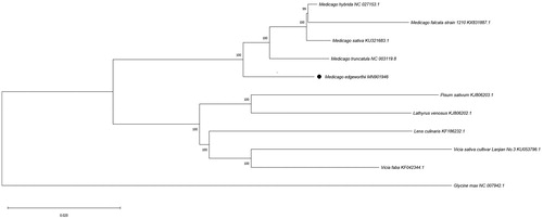 Figure 1. Phylogenetic relationships of 11 species based on complete chloroplast genome using the neighbour-joining methods. The bootstrap values were based on 1000 replicates and shown next to the branches.
