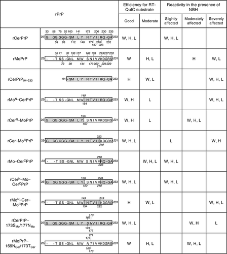 Figure 2. Summary of the reactivity of recombinant chimeric PrPs between CerPrP and MoPrP. rCerPrP, rMoPrP, and their chimeras are indicated with their amino acid differences. Numbers with capital letters are the aa of CerPrP, while those with italics indicate the aa of MoPrP. ‘-’ indicates gaps. A single-letter notation of aa with italics indicate the substituted aa between CerPrP and MoPrP. The RT-QuIC substrate efficiencies were classified as follows: Good, detection endpoints are ≦10−8 and lag phases at 10−4 and 10−5 seed dilutions were <20 h for seeds diluted with PBS; Moderate, detection endpoints were >10−8 or lag phases at 10−4 or 10−5 seed dilutions were ≧20 h. The criteria of the reactivity in the presence of NBH were defined as follows: slightly affected, endpoint ratio was ≧10–2 and prolongation of the lag phase at 10−5 seed dilution (lag phaseNBH − lag phasePBS) was <10 h; moderately affected: endpoint ratio is 10−2 to 10−3 and/or prolongation of the lag phase at 10−5 was from 10–25 h; severely affected, endpoint ratio was <10−3 and/or prolongation of the lag phase at 10−5 seed dilution is >25 h. H, H-BSE; L, L-BSE; W, CWD
