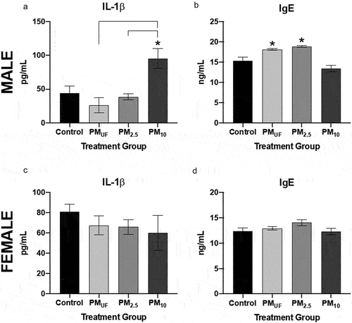 Figure 12. Levels of IL-1ß and IgE and in male and female mice 24 hr post-sub-acute exposure to PM. Panels a & c) graphs show levels of interleukin 1 beta (IL-1ß) measured in homogenates of the right caudal lung lobe via enzyme-linked immunosorbent assay (ELISA). Panels b & d) graphs show IgE measured via ELISA in the blood serum. Statistically significant differences were determined using four separate one-way ANOVAs, one per parameter per sex, and post-hoc Tukey’s multiple comparison tests were used to determine statistical differences between specific exposure groups. N = 6/gender/group for all endpoints. Statistical significance was determined at a level of p < .05 for all ANOVAs and Tukey’s tests. The asterisks (*) signify significant (p < .05) differences from the H2O-exposed control group, and brackets signify significant (p < .05) differences between groups exposed to different PM size fractions.