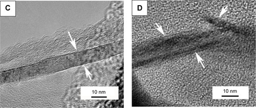 Figure 6 TEM observations of the GPs in the composite coating.Notes: (A) Shows that the GPs existed in the interface or were semi-wrapped on the CS particles, and (B) exhibits that the GPs bridged the CS particles. The thickness of the GPs is about 10 nm (C), while some GPs were also exfoliated during the processes of plasma spraying or mechanical mixture (D). The arrows in (C) and (D) point out the thickness of one piece of graphene plate; and the interface between the graphene plate and calcium silicate is clear in the composite powder, while after spraying, some of the graphene plates were exfoliated.Abbreviations: TEM, transmission electron microscopy; GPs, graphene plates; CS, calcium silicate.