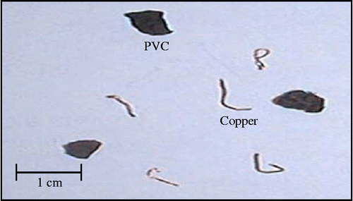 Figure 2 Particles size and shape of sample #A.