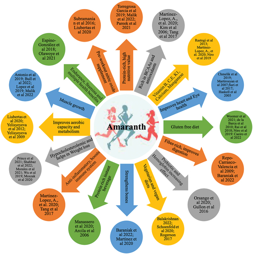 Figure 1. Performance enhancing and nutritive value of Amaranth for athletes.