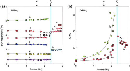 Figure 9. (colour online) Changes of Fermi surface properties across a likely Kondo destroying QCP in CeRhIn5. Pressure dependencies of the dHvA frequencies (a) and cyclotron mass (b) (after [Citation70]).