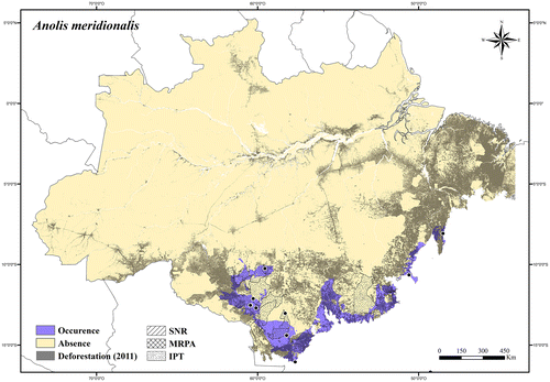 Figure 8. Occurrence area and records of Anolis meridionalis in the Brazilian Amazonia, showing the overlap with protected and deforested areas.