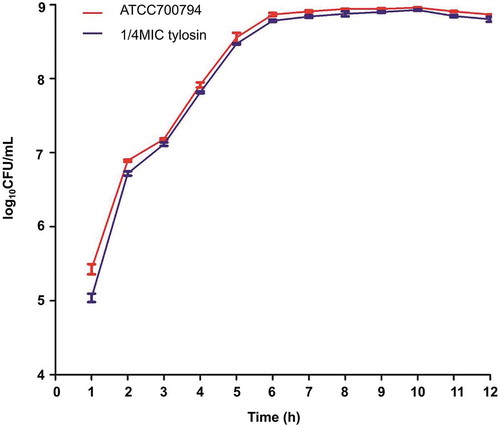Figure 1. Growth curve of Streptococcus suis ATCC 700794 in the absence of tylosin and in the presence of 1/4 MIC of tylosin. Data are expressed as means ± standard deviations.