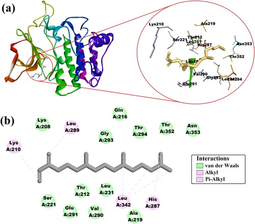 Figure 9. Representation of (a) docked neophytadiene into ODR-1 at active sites, (inset) representation of an enlarged view of involved molecular interactions and (b) 2-D representation of involved molecular interactions.