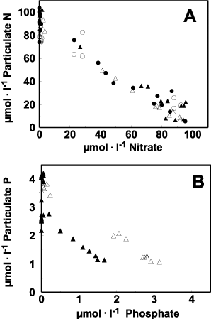 Fig. 3. Relationship between particulate N and dissolved inorganic N for Chaetoceros muelleri for all culture conditions (A), and relationship between particulate P and dissolved inorganic P for N : P = 35 (B). Open symbols : HL, filled symbols : LL, Circles : N : P = 5, triangles : N : P = 35.