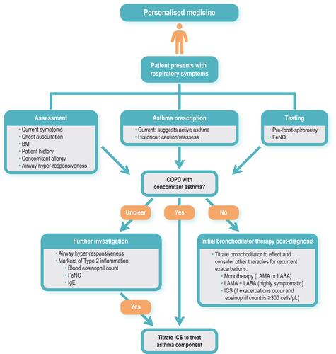 Figure 1 Assessments to guide treatment choice for patients with COPD presenting with asthma symptoms.