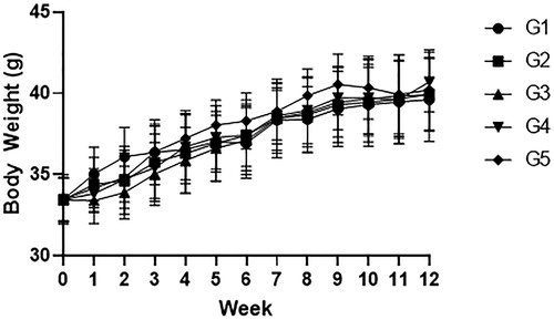 Figure 1. Body weight change during the experiment. Mice were fed with vehicle (G1), 100 mg/kg of red ginseng (G2), or 50, 150, and 300 mg/kg of CMEE (C3–C5) for 12 weeks. Data were expressed as mean ± S.D. (n = 10 mice in each group). *p < 0.05, compared with normal control (G1).