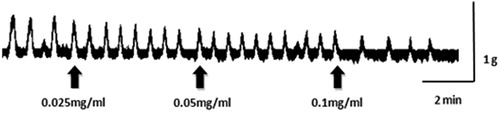 Figure 1. Effect of CLE on a mouse isolated uterine horn. CLE (0.025, 0.05 and 0.1 mg/mL) was added to the bath-fluid at the upward-pointing solid arrow.
