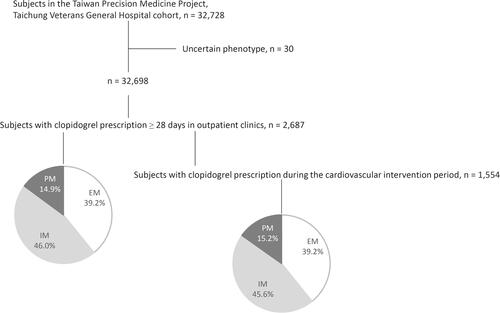 Figure 1 Flow diagram of the participant recruitment process in this study.