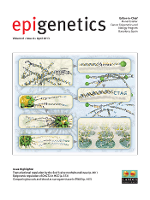 Cover image for Epigenetics, Volume 8, Issue 4, 2013