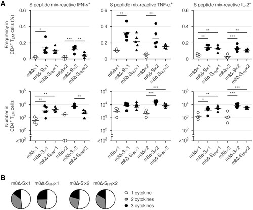 Figure 7. Cytokine profiles of the CD4+ memory T cells. (A) Frequencies and absolute numbers of the CD4+ effector memory T (TEM) cells reactive to the S peptide mix, as measured by intracellular cytokine staining. Splenocytes were obtained six weeks after the primary (×1) or boost (×2) immunization with the indicated virus. The gating strategy applied to isolate the CD4+ TEM cells is shown in Supplementary Figure 5. The cytokine-producing cells were identified as shown in Supplementary Figure 6(B). Each symbol represents an individual mouse. Horizontal lines represent the means (upper panels) or geometric means (lower panels). Data were pooled from two independent experiments using four or more mice per experimental group. m8Δ-S, m8Δ-SARS2(P7.5-S)-HA; m8Δ-SHN, m8Δ-SARS2(P7.5-SHN)-HA. (B) Percentages of the S peptide mix-reactive CD4+ TEM cells described in (A) that expressed the indicated number of cytokines among IFN-γ, TNF-α, and IL-2. The data shown in (A, upper panels) and the log-transformed data shown in (A, lower panels) after the primary and boost immunization were analysed individually by a Tukey test. Combinations without mark are not statistically different. ***P < 0.001, **P < 0.01, *P < 0.05.