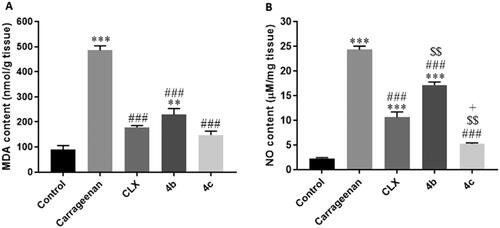 Figure 11. Effects of Celecoxib (CLX), 4 b, and 4c on carrageenan-induced elevation of (A) malondialdehyde (MDA) and (B) Nitric oxide (NO) paw tissue contents. ** p < 0.01, *** p < 0.001 compared to the control group; # p < 0.05, ### P < 0.001 compared to the carrageenan group; $$p < 0.01 compared to the CLX group; + p < 0.05 compared to the 4 b group.