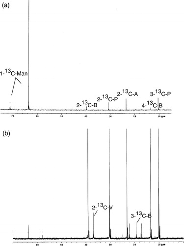 Figure 1.  13C -NMR spectra of D-[1-13C]-mannitol and its metabolites at 6 h (a) and 24 h (b) of incubation.