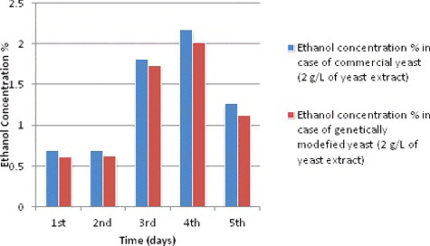 Figure 2. Ethanol production (%) during different fermentation periods at 2 g/L yeast extract concentration.