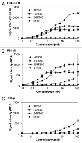 Figure 2. Concentration-dependent binding and uptake of different probes. Different concentrations of Aff800, Pan800, EGF800 and free IRDye 800CW (IR800) were incubated with F98-EGFR (A), F98-vIII (B), and F98-p (C). The fluorescence signals were determined after removal of unbound probes (n = 3 for each data point).