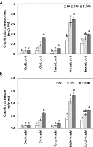 Figure 7. Organic acid concentrations (a) and content (b) secreted from roots 5 weeks after sowing in treatments with 0, 20, or 1000 µM S. Each value was mean of 4 biological replicates with standard error. Different letters on bars indicate signiﬁcant differences in organic acid content between S treatments according to Tukey test (P < 0.05)