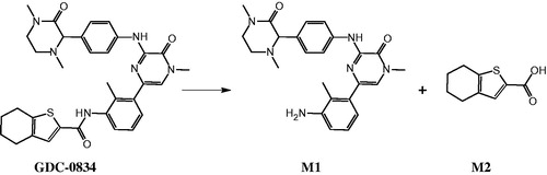 Figure 18. Aldehyde oxidase hydrolysis of GDC-0834 to M1 and M2.