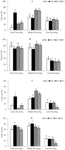 FIGURE 4. Fruit set (%) following (A) natural pollination and (B) hand pollination; and seed set (%) following (C) natural pollination and (D) hand pollination for each of the four types of flowers [blue and protogynous flowers (BG), white and protogynous flowers (WG), blue and protandrous flowers (BT), and white and protandrous flowers (WT)] during the flowering season. The different letters above the error bars denote significance difference (P < 0.05) between flower types or stages. n = 17 for fruit set in the early flowering stage, and n = 20 in both middle and late flowering stages. n = 30 for seed set except for the white protogynous flower morphs in early flowering stage (n = 25) and white protandrous flower morphs in later stage (n = 25).