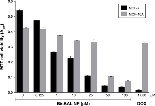 Figure 2 Antitumor activity of BisBAL NPs on the human breast cancer cell line MCF-7.Notes: Cell viability of MCF-7 (human breast cancer cell line) and MCF-10A (nontumor human breast cancer cell line) was determined by the MTT cell viability assay at A570 after a 24-hour exposure to 0, 0.125, 1, 10, 25, 50, and 100 µM BisBAL NP and 1,000 µM DOX (positive control of cytotoxicity). After a multiple comparison 2-way ANOVA with Tukey’s correction, all samples were significantly different (P<0.0001), except for: 1) 50 vs 100 µM BisBAL NP exposure for MCF-7 cells, 2) 0 vs 0.125 µM BisBAL NP exposure for MCF-10A cells, and 3) among 10 and 25 µM BisBAL NP, and 1,000 µM DOX exposure for MCF-10A cells. Bars indicate mean±SD (n=4 for MCF-7 and n=3 for MCF-10A).Abbreviations: DOX, doxorubicin; BisBAL NPs, lipophilic bismuth nanoparticles.