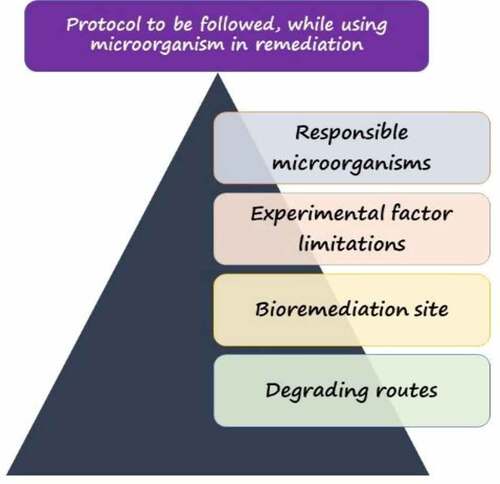 Figure 5. Protocol to be followed to achieve remarkable dye biodegradation.