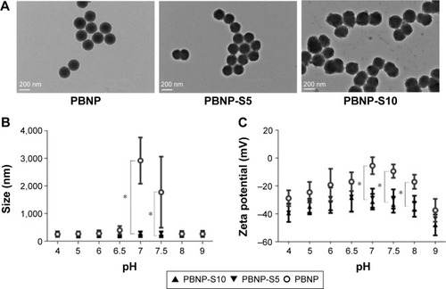 Figure 2 Characterization of PBNP-S.Notes: (A) TEM image of PBNP, PBNP-S5 and PBNP-S10. Scale bars: 200 nm. (B) Size distribution of PBNP, PBNP-S5 and PBNP-S10 at different pH values measured by DLS (mean ± distribution width). (C) Zeta potential of PBNP, PBNP-S5 and PBNP-S10 at different pH values measured by DLS (mean ± distribution width). *Significantly different.Abbreviations: PBNP-S, sulfonate-modified phenylboronic acid-rich nanoparticles; PBNPs, phenylboronic acid-rich nanoparticles; PBNP-S5, PBNP-S at a weight ratio of 5%; PBNP-S10, PBNP-S at a weight ratio of 10%; TEM, transmission electronic microscopy; DLS, dynamic light scattering.