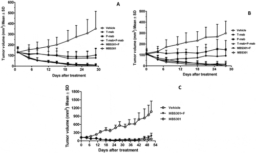 Figure 7. The in vivo therapeutic effect of MBS301 in comparison with other anti-HER2 mAb formats on different mouse xenograft models. (a) Mice with breast cancer BT-474 xenograft tumors were treated for four weeks with high dosage (13.5 mg/kg), vehicle normal saline, T-mab, P-mab, MBS301 + F, MBS301, combination of T-mab and P-mab (6.75 mg/kg each), respectively (n = 6 mice/group); (b) Mice with NCI-N87 xenograft tumors were treated for four weeks with high dosage (20 mg/kg), vehicle normal saline, T-mab, P-mab, MBS301 + F, MBS301, combination of T-mab and P-mab (10 mg/kg each), respectively (n = 6 mice/group); (c) The therapeutic effect of MBS301 in gastric cancer (NCI-N87) xenograft model in NSG-CD34 mice. Mice were treated 18 days of the study with high dosage (13.5 mg/kg), then the animals were monitored for tumor recurrence; vehicle normal saline, MBS301 + F, MBS301. (n = 6 mice/group).