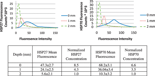 Figure 2. Histograms for quantification of Hsp27 and Hsp70 fluorescence and corresponding Hsp27 and Hsp70 mean fluorescence, standard deviation, and normalised concentration at tumour depths of 0, 1, 2 mm from the tumour surface measured 16 h following laser irradiation.