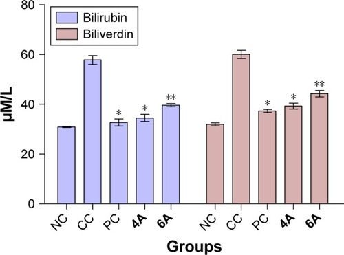 Figure 3 Effects of 4A and 6A on catabolic byproduct (bilirubin and biliverdin) after 10 mg/kg dose administration for 15 days.