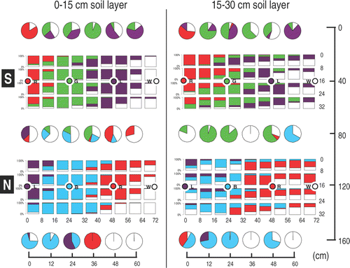 Figure 5. Percent root length of each soil block and core in field-grown tomatoes 170 days after sowing. Each bar or pie graph is arranged to correspond to the sampling position. The colors of the graphs correspond to the dye colors. The circles with letters in the graphs indicate positions of the hills and the dye colors. Row S corresponds to the south position, row N corresponds to the north position. R is red, G is green, L is lavender, B is blue and W is white (no dye).