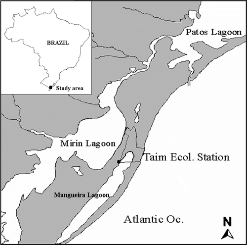 Figure 1 Location of the Taim Ecological Station in the extreme southern part of the state of Rio Grande do Sul.