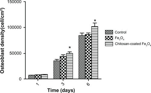 Figure 10 Osteoblast density in the presence of magnetic nanoparticles after one, 3, and 6 days of culture.Notes: Nanoparticle concentration was 100 μg/mL. Data are shown as the mean ± standard error of the mean (n =4). *P < 0.05 compared with control samples.