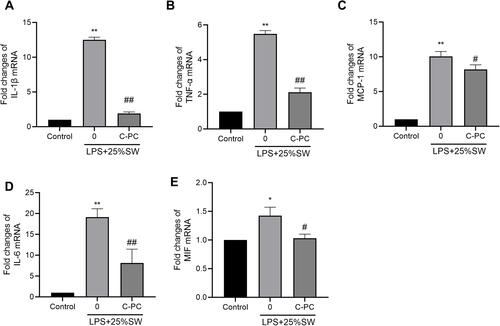 Figure 4 C-PC inhibits inflammatory mediated gene expression in RAW264.7 cells.