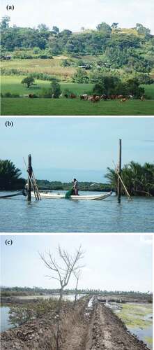 Figure 1. (a) A common view of the landscape in southwestern Ethiopia where the food system largely relies on diversified smallholder farming systems involving the production of various food and cash crops. (b) A small scale fisher in the northern part of the Philippines is unfurling fish nets in an estuary leading to Manila Bay. (c) An irrigation canal along some of the dried brackish water earthen pond aquaculture in Indonesia.