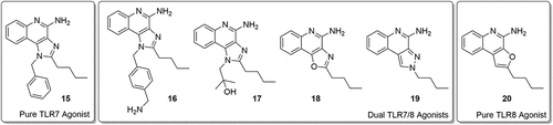 Figure 2. Examples of structures of some TLR7 and TLR8 single and dual agonists.
