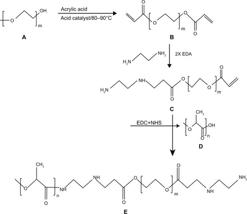Figure 1 Stepwise synthesis of PLA-PEG copolymer showing (A) PEG, (B) PEGDA, (C) PEGDA amine, (D) activated PLA, and (E) PLA-PEG copolymer.Abbreviations: PEG, poly(ethylene glycol); PLA, polylactic acid; PEGDA, PEG diacrylate.
