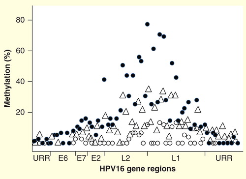 Figure 2. DNA methylation patterns across the genome of HPV16, showing the percentage median values for selected CpG sites in cancers (solid circles), cervical intraepthelial neoplasia 2/3 (triangles), and normal women who had transient HPV16 infections (open circles). Other hrHPVs have similar methylation patterns, with relative peaks in the L1 and L2 regions and little to no methylation in the URR. The circular genome is depicted as opened in the URR region. The specific peaks and valleys of the HPV16 genome methylation profile are quite reproducible in specimens from different geographic locations and may reflect the intrinsic relative positions of histones and other binding complexes.