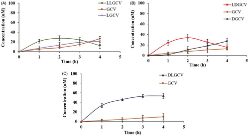 Figure 6. Bioconversion pathway of prodrugs of GCV in HCEC cell homogenate. (A) LLGCV-NP, (B) LDGCV-NP and (C) DLGCV-NP. (♦) LLGCV, (▪) LDGCV, (▴) DLGCV, (×) LGCV, (*) DGCV, and (•) GCV. Each data point is expressed as mean ± SD (n = 3).