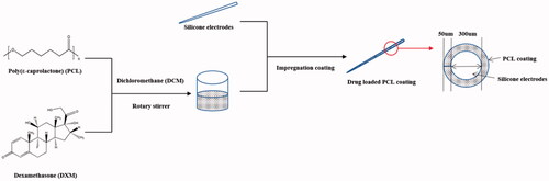 Figure 1. Schematic of the preparation procedures of DXM/PCL-based electrode coatings.